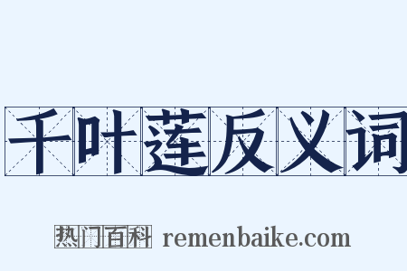 千叶莲反义词是什么意思的图片